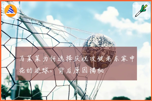 马莱莱为何选择庆祝攻破老东家申花的进球，背后原因揭秘