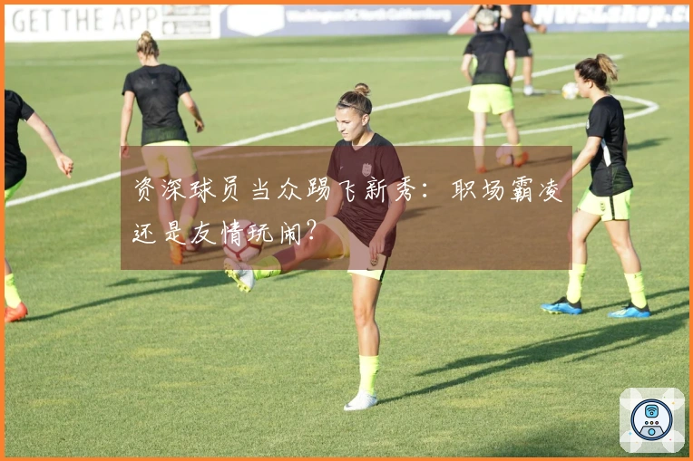 资深球员当众踢飞新秀：职场霸凌还是友情玩闹？